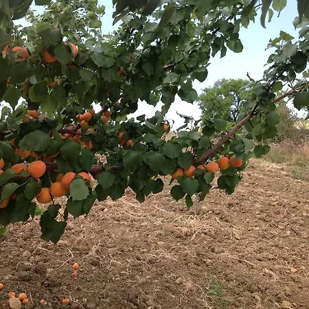 A Robba De Pupi Отель типа 